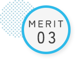 MERIT 03