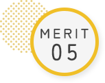 MERIT 05